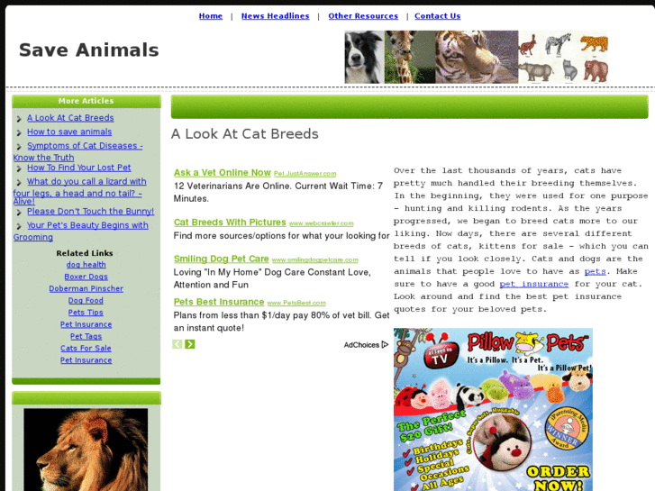 www.animalcause.com