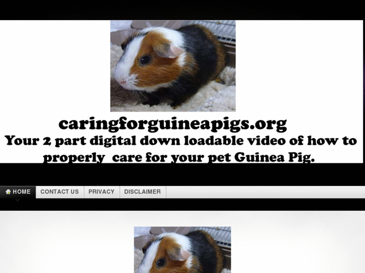 www.caringforguineapigs.org