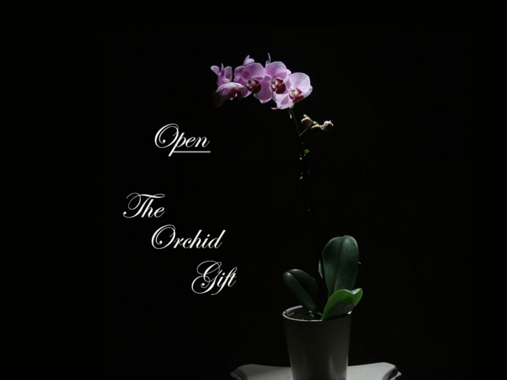 www.theorchidgift.com