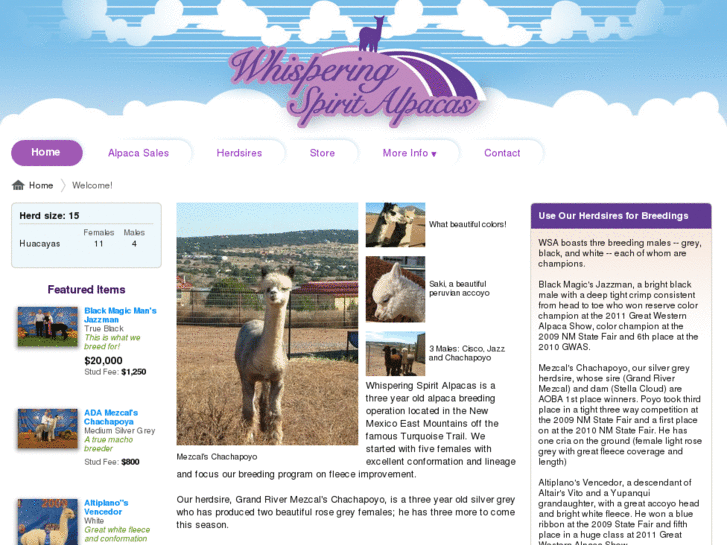 www.whisperingspiritalpacas.com