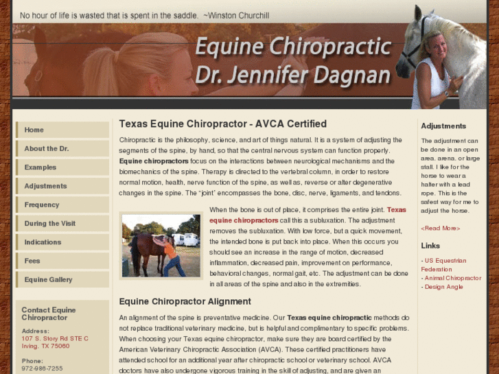 www.dagnanequinechiro.com