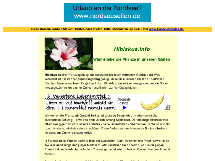 www.hibiskus.info