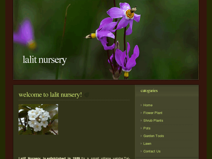www.lalitnursery.com