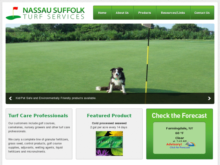 www.nassausuffolkturf.com