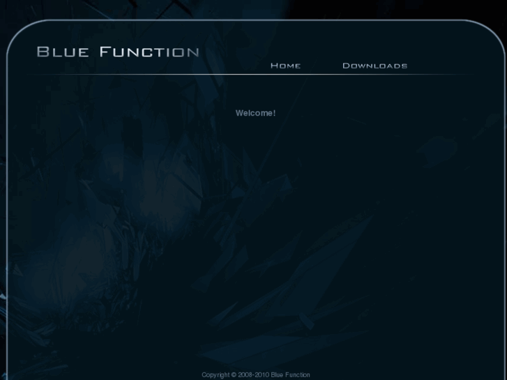 www.bluefunction.com