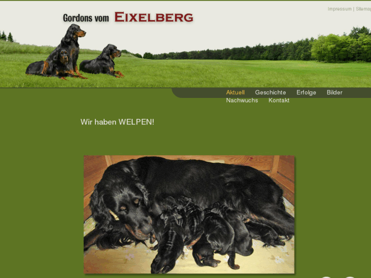 www.gordons-vom-eixelberg.de