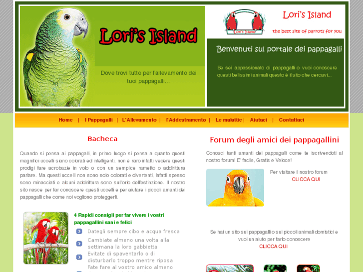 www.lorisisland.it