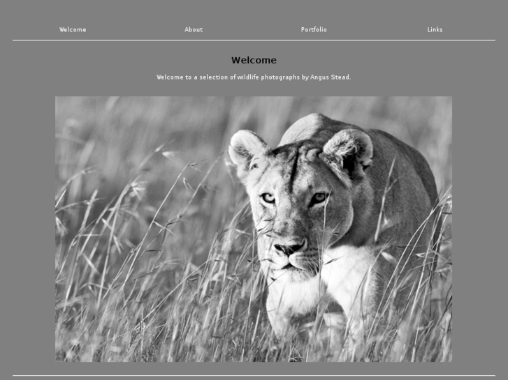 www.steady-images.co.uk