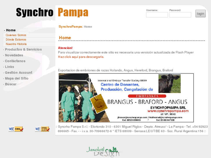 www.synchropampa.com