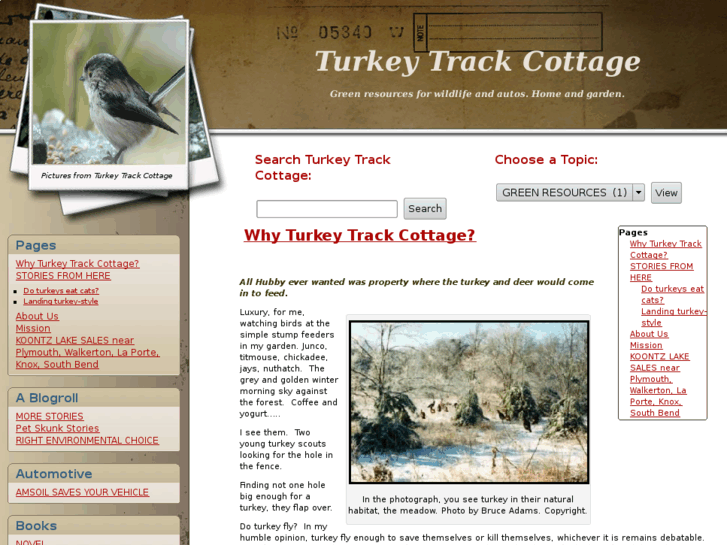 www.turkeytrackcottage.com