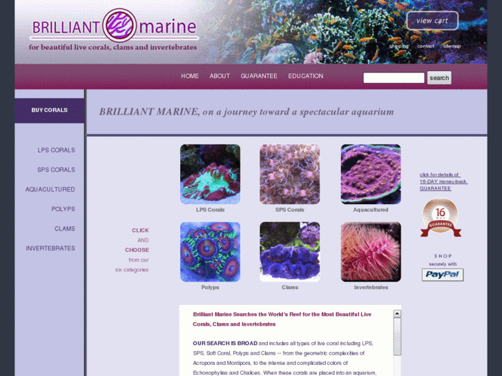 www.brilliantmarine.com