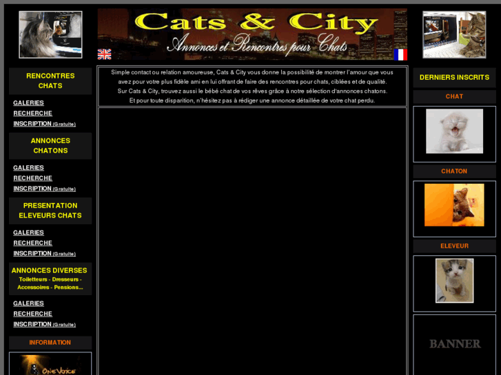 www.catsandcity.com