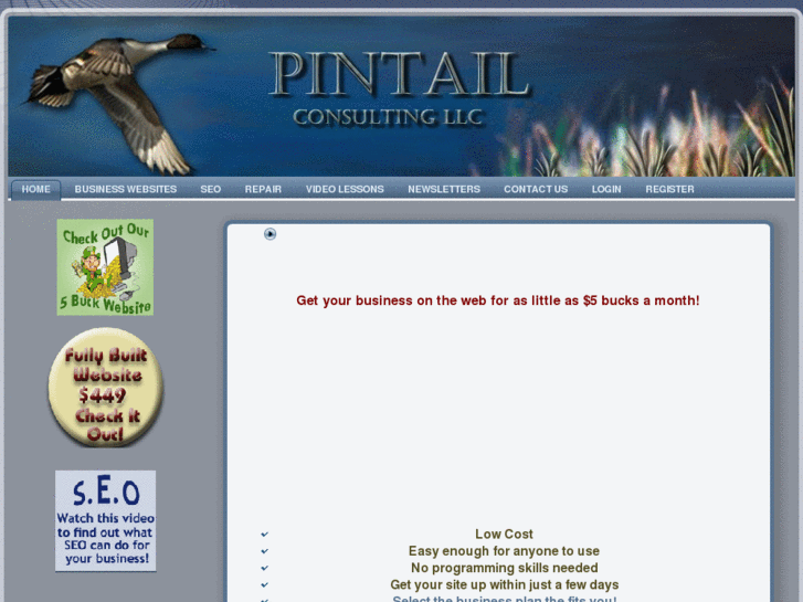 www.pintailconsulting.com