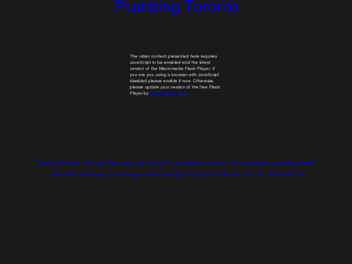 www.plumbing-toronto.com