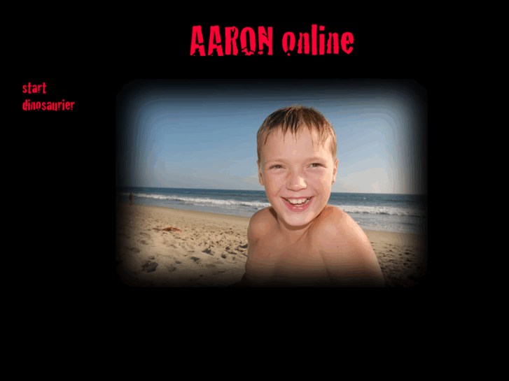www.aaron-rieger.com