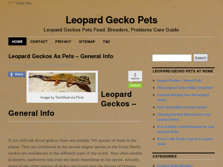 www.leopardgeckopets.org