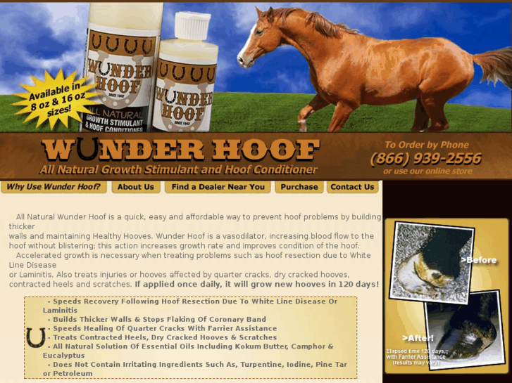 www.wonderhoof.com