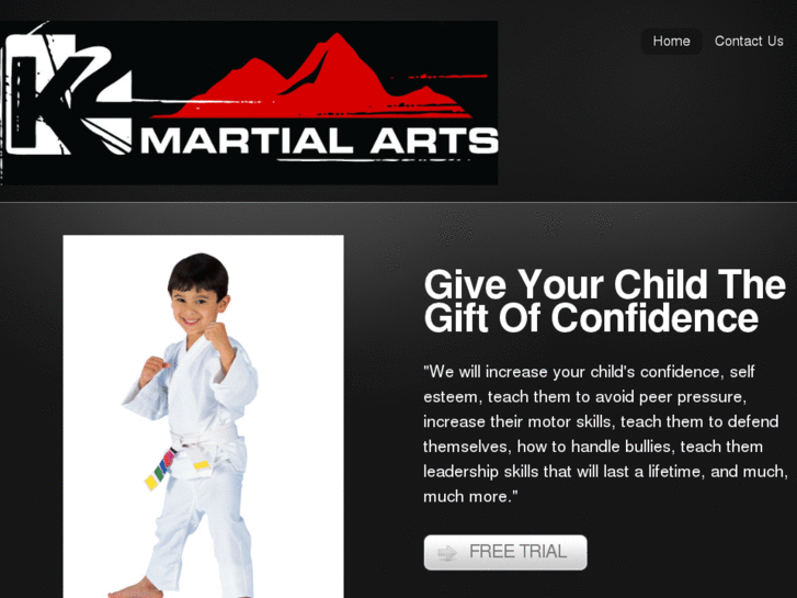 www.bestmartialartsottawa.com