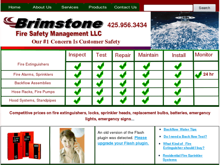 www.brimstonefiresafety.com