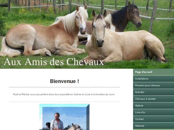 www.ecuries-auxamisdeschevaux.com