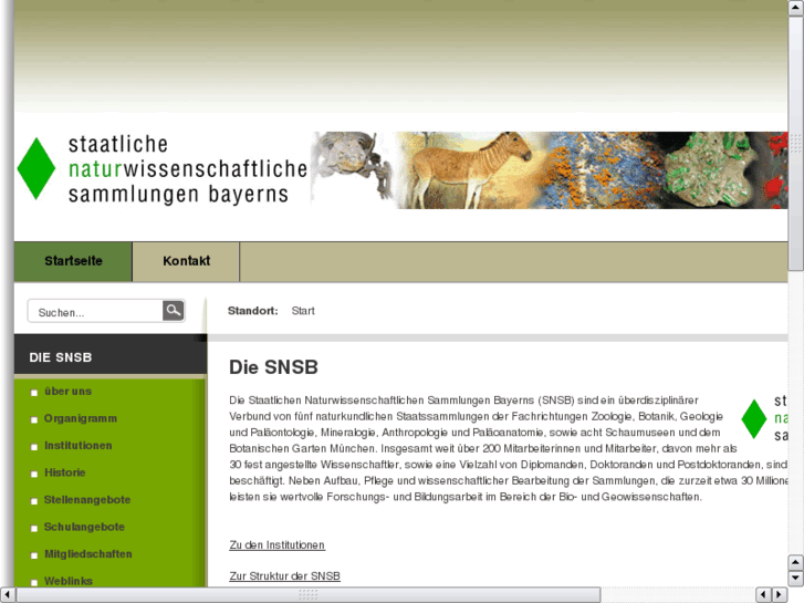 www.naturwissenschaftlichesammlungenbayerns.de