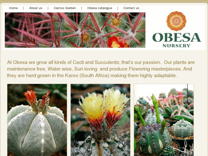 www.obesanursery.com