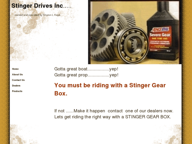 www.stingerdrives.com