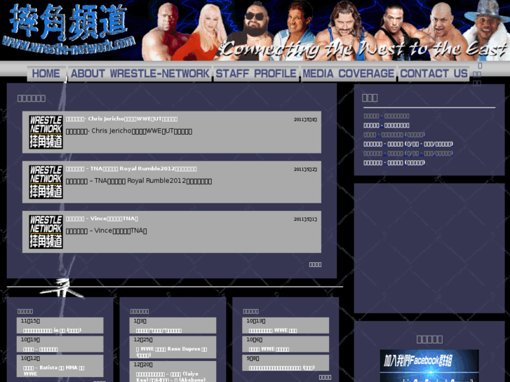 www.wrestle-network.com