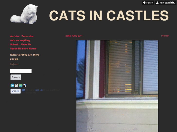 www.catsincastles.com