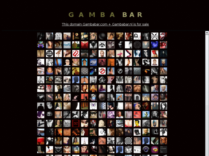 www.gambabar.com