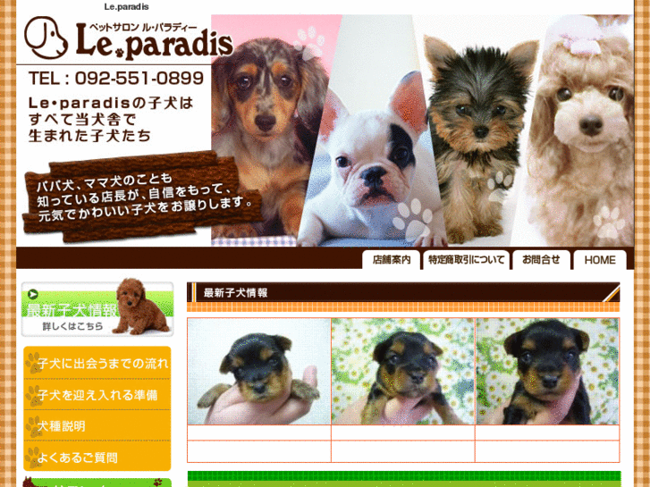 www.leparadis-de-chien.com