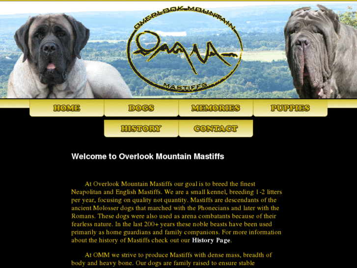 www.overlookmountainmastiffs.com