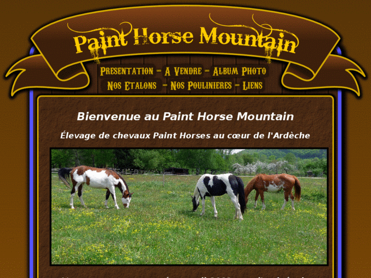 www.painthorsemountain.com