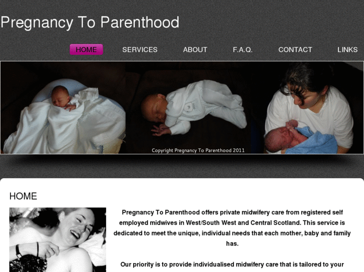 www.pregnancytoparenthood.com