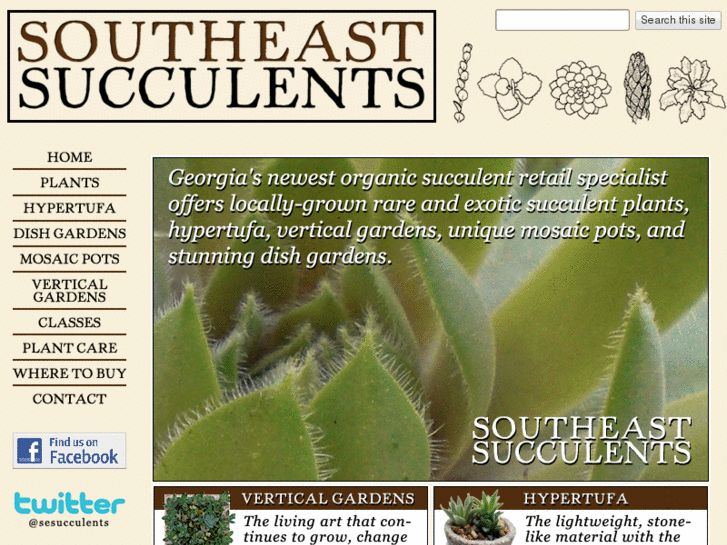www.southeastsucculents.com