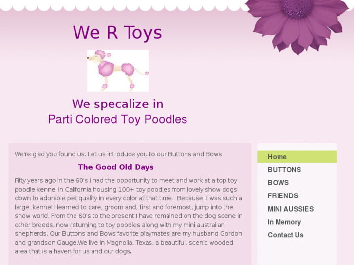 www.we-r-toys.com