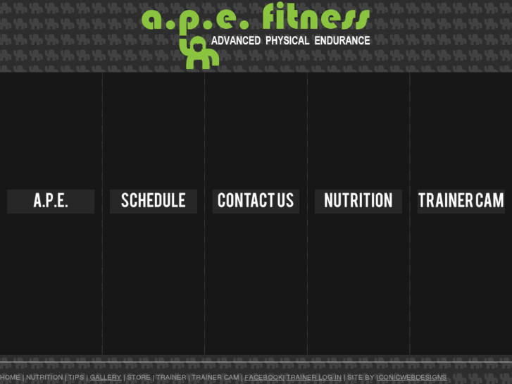 www.apefitness.net