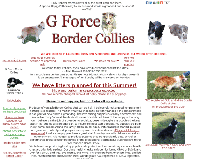 www.gforcebordercollies.com