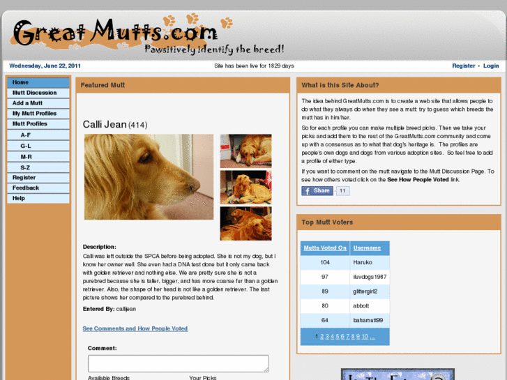 www.greatmutts.com