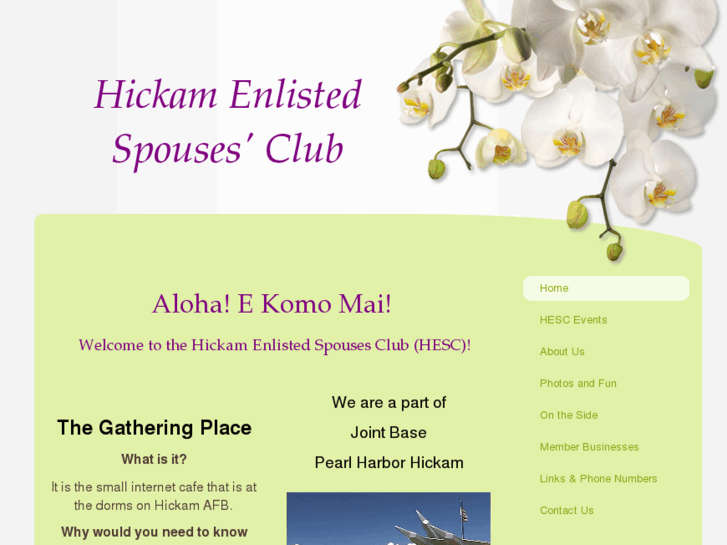 www.hickamesc.com