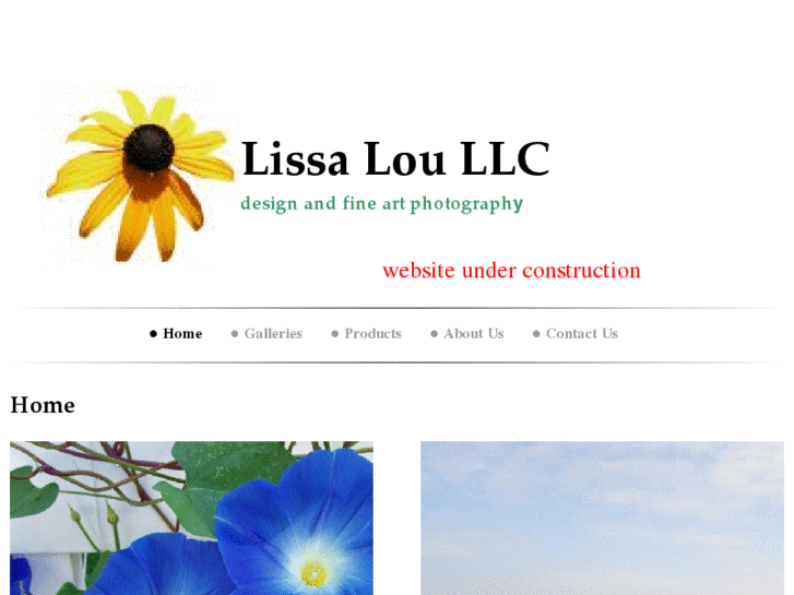 www.lissalou.com