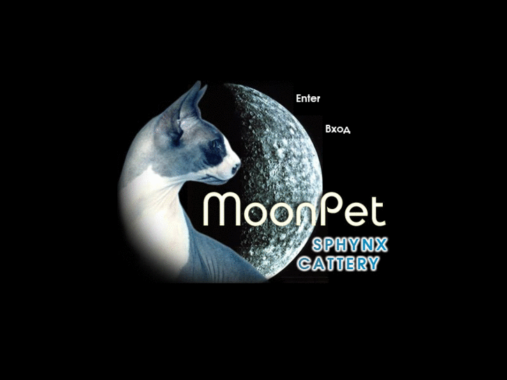 www.moon-pet.com