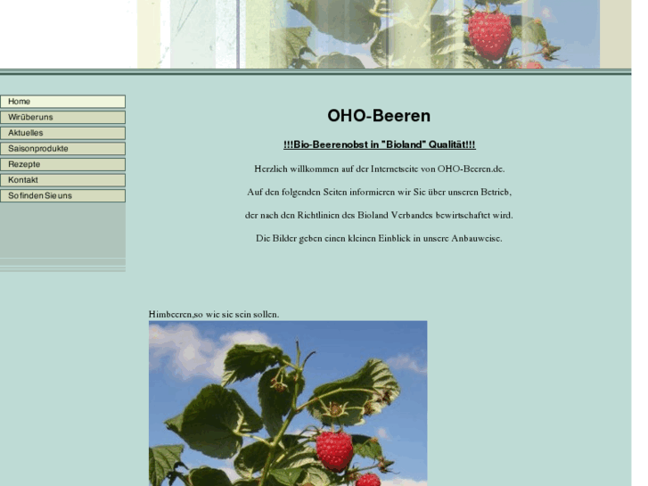 www.oho-beeren.com