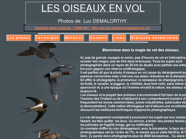 www.oiseaux-en-vol.com