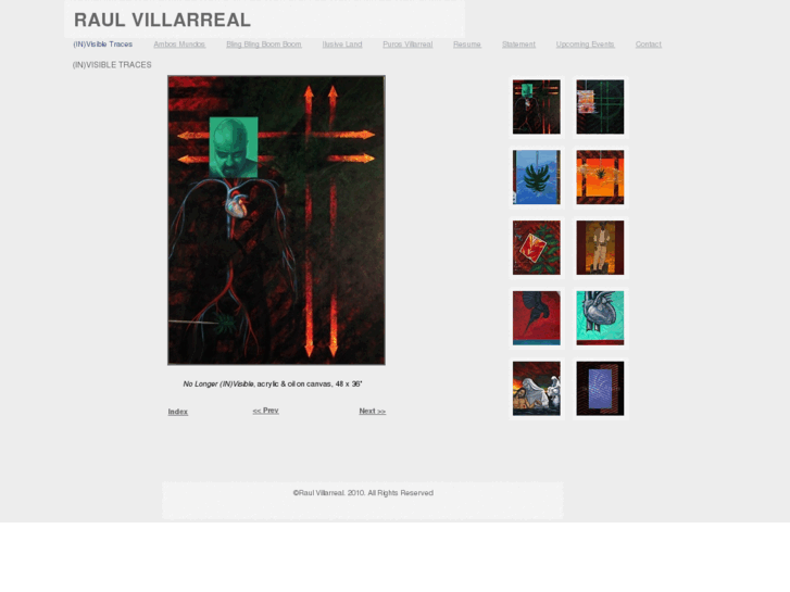 www.raulvillarreal.com