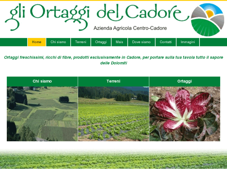 www.centrocadore.com