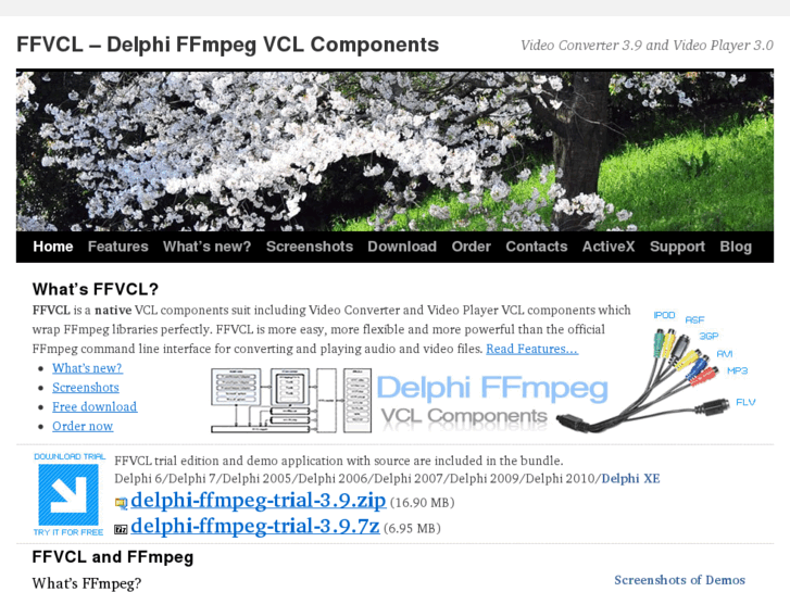 www.delphiffmpeg.com