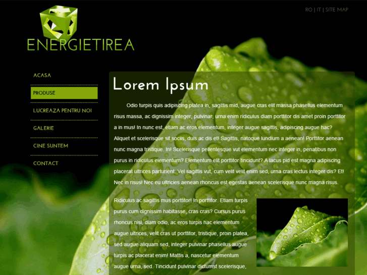 www.energietirea.com