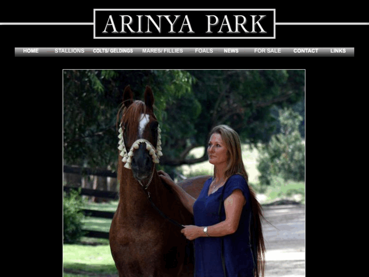 www.arinyapark.com