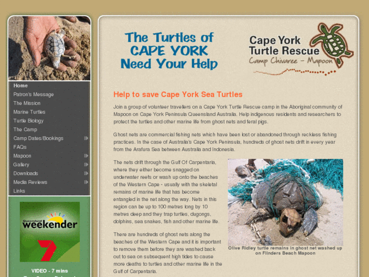 www.capeyorkturtlerescue.com